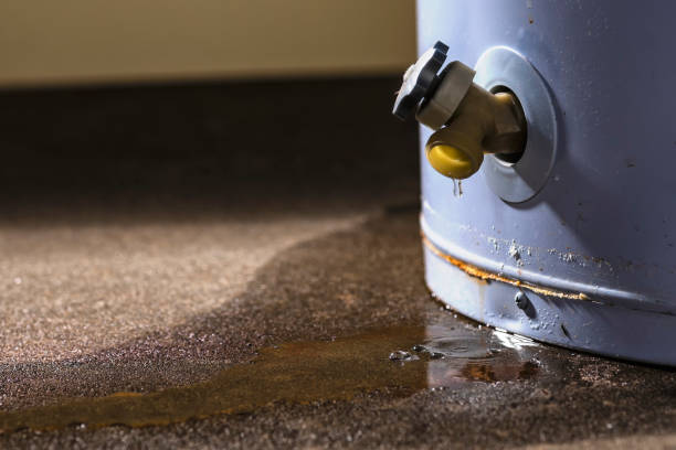 Best Water damage repair service  in Taylorsville, MS