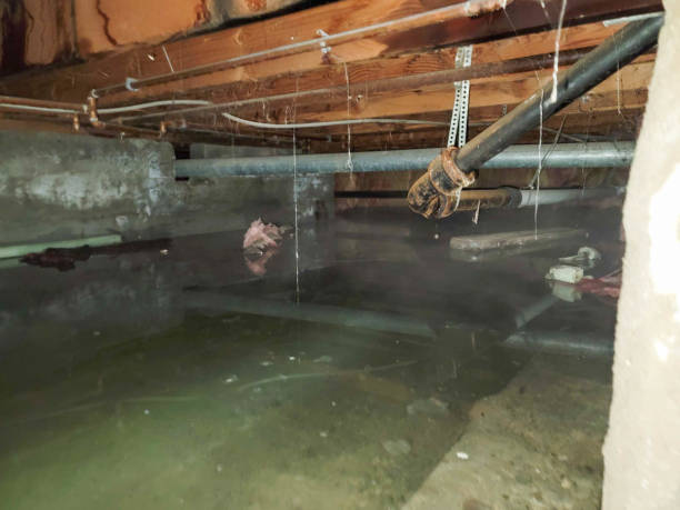 Best Commercial water damage restoration  in Taylorsville, MS