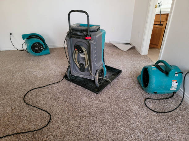Best Basement water damage restoration  in Taylorsville, MS