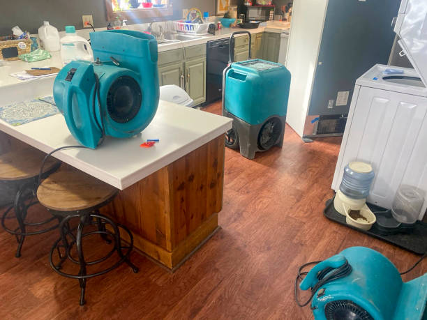 Best Professional water damage repair  in Taylorsville, MS