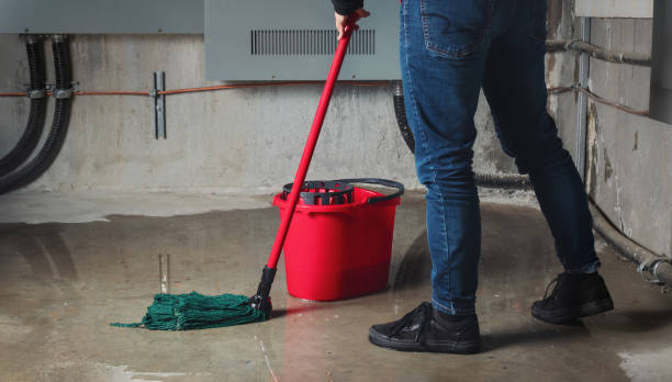 Best Water damage contractors near me  in Taylorsville, MS