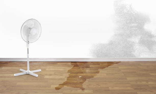Professional Water damage restoration in MS