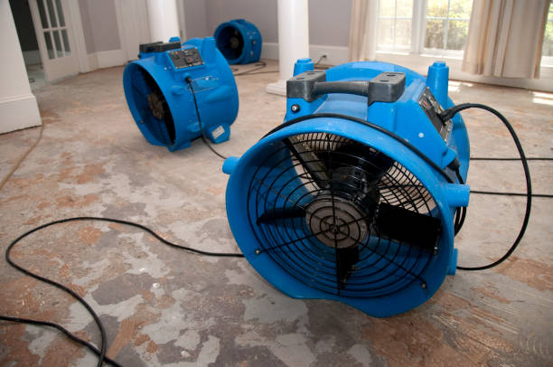 Best Emergency water damage restoration  in Taylorsville, MS