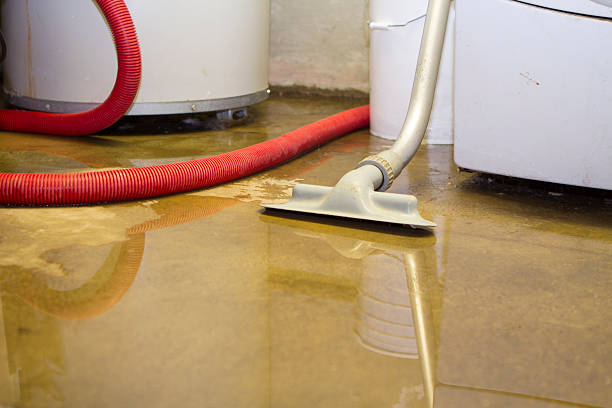 Best Ceiling water damage repair  in Taylorsville, MS