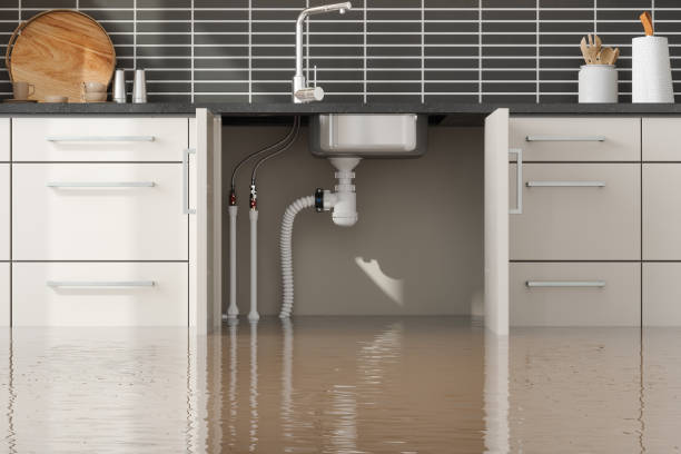 Best Flood damage cleanup  in Taylorsville, MS