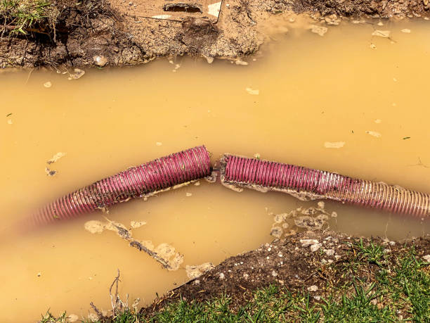 Best Water damage mitigation services  in Taylorsville, MS