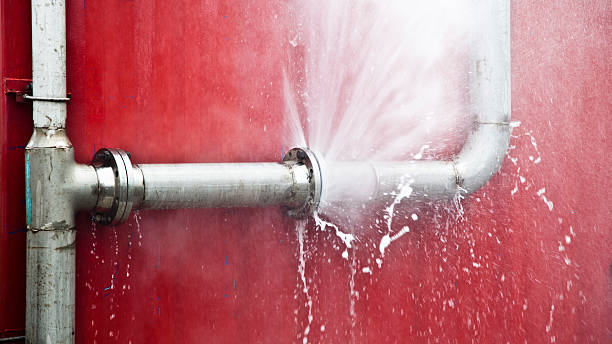 Best Ceiling water damage repair  in Taylorsville, MS